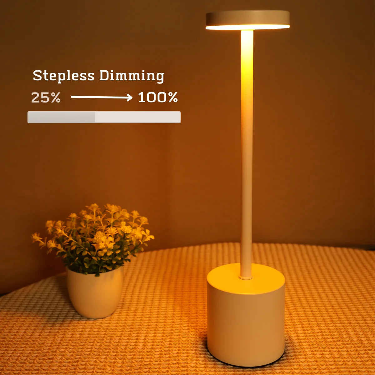 Rechargeable Touch LED Table Lamp – 3-Color Metal Bedside Light