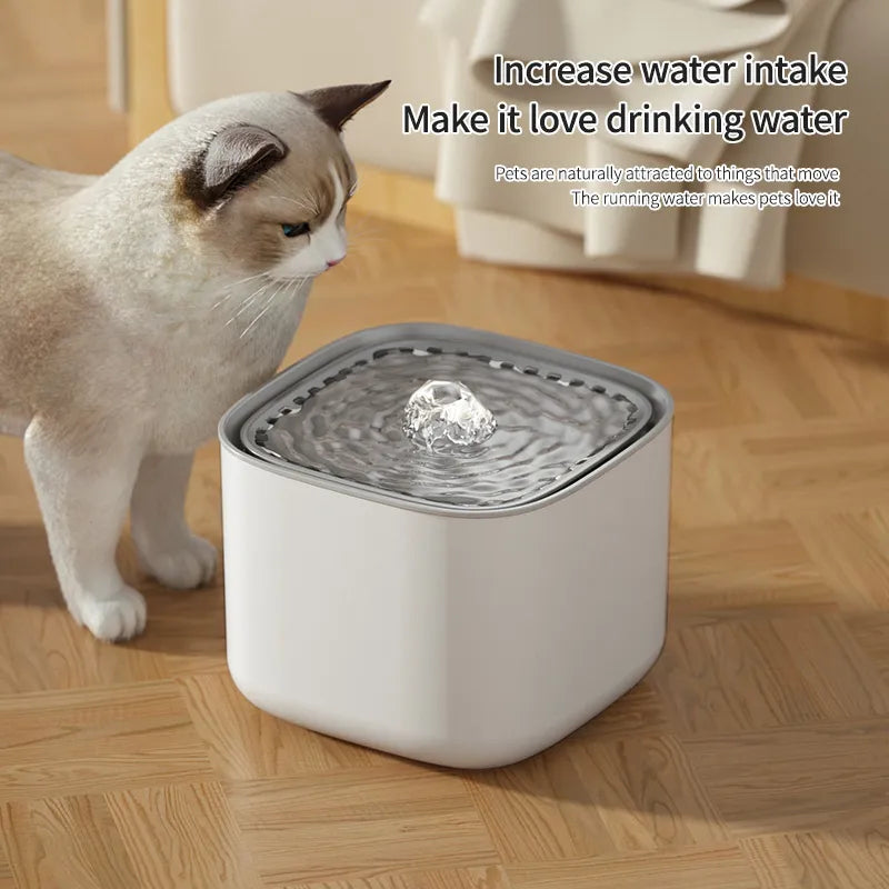 Cat Water Drinking Fountain