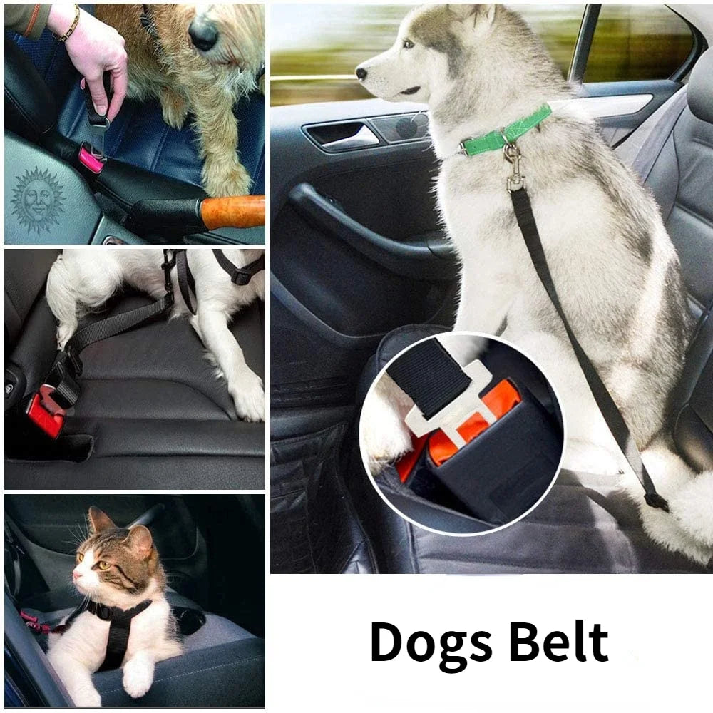 Pet Seatbelt Safety Clip