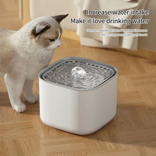 Water Fountain for Cats