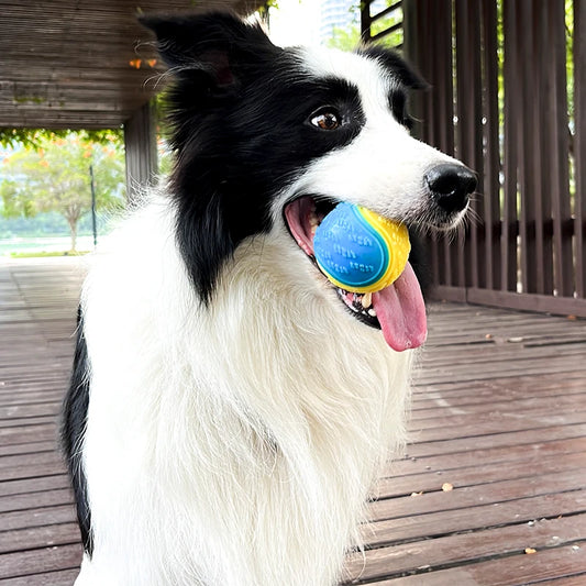 Interactive Squeaky Dog Ball -Teeth Cleaning, Bite-Resistant