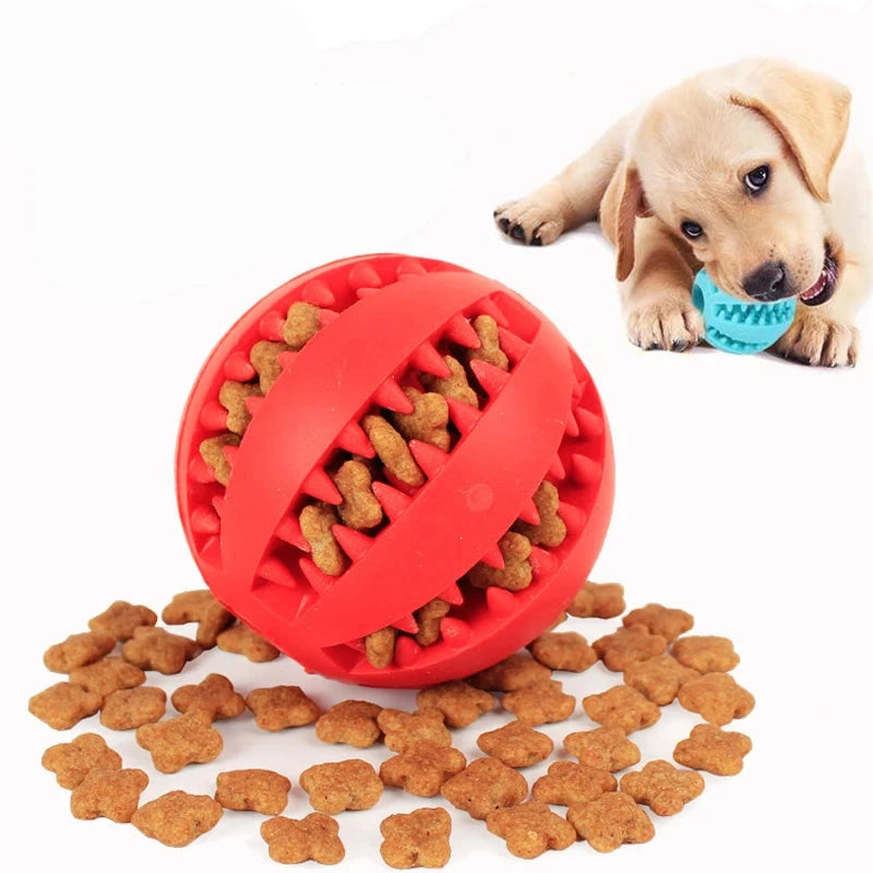 Interactive Dog Chew Toy: Fun, Elastic, Tough, and Tooth-friendly Options